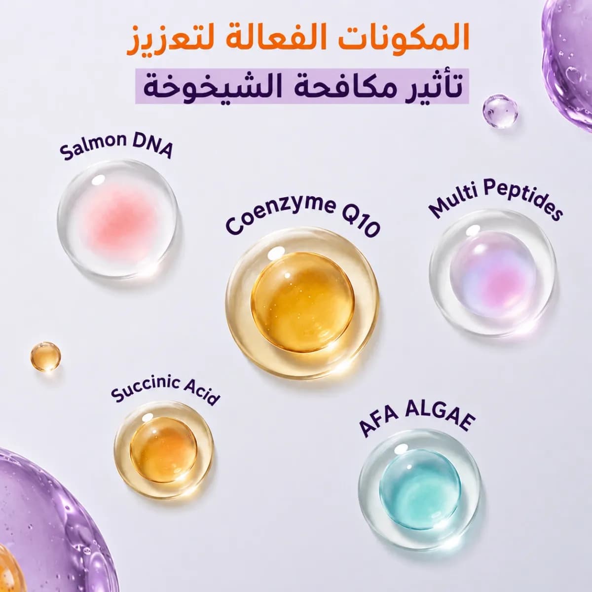 سيروم ثنائي الطور — سالمون DNA + حمض السكسينيك