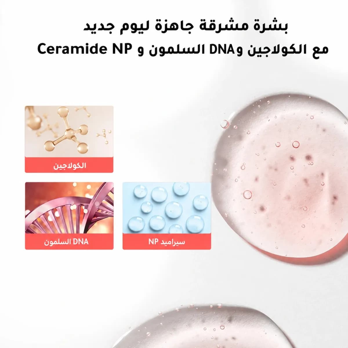 سيروم تجديد البشرة — Collagen Night™